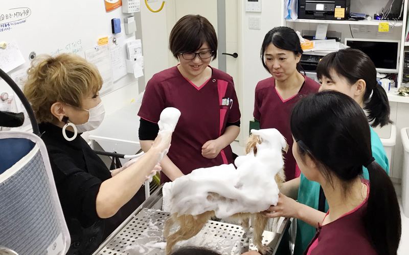 施術の様子1