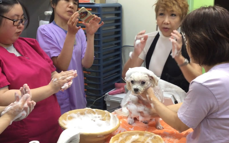 施術の様子2