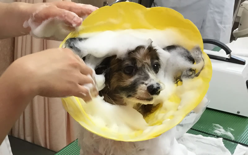施術の様子4